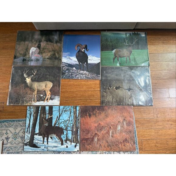 Advanced Graphics Multicolor Laser Scanned Wildlife Animals Print Lot of 7 NWOT - Picture 1 of 11